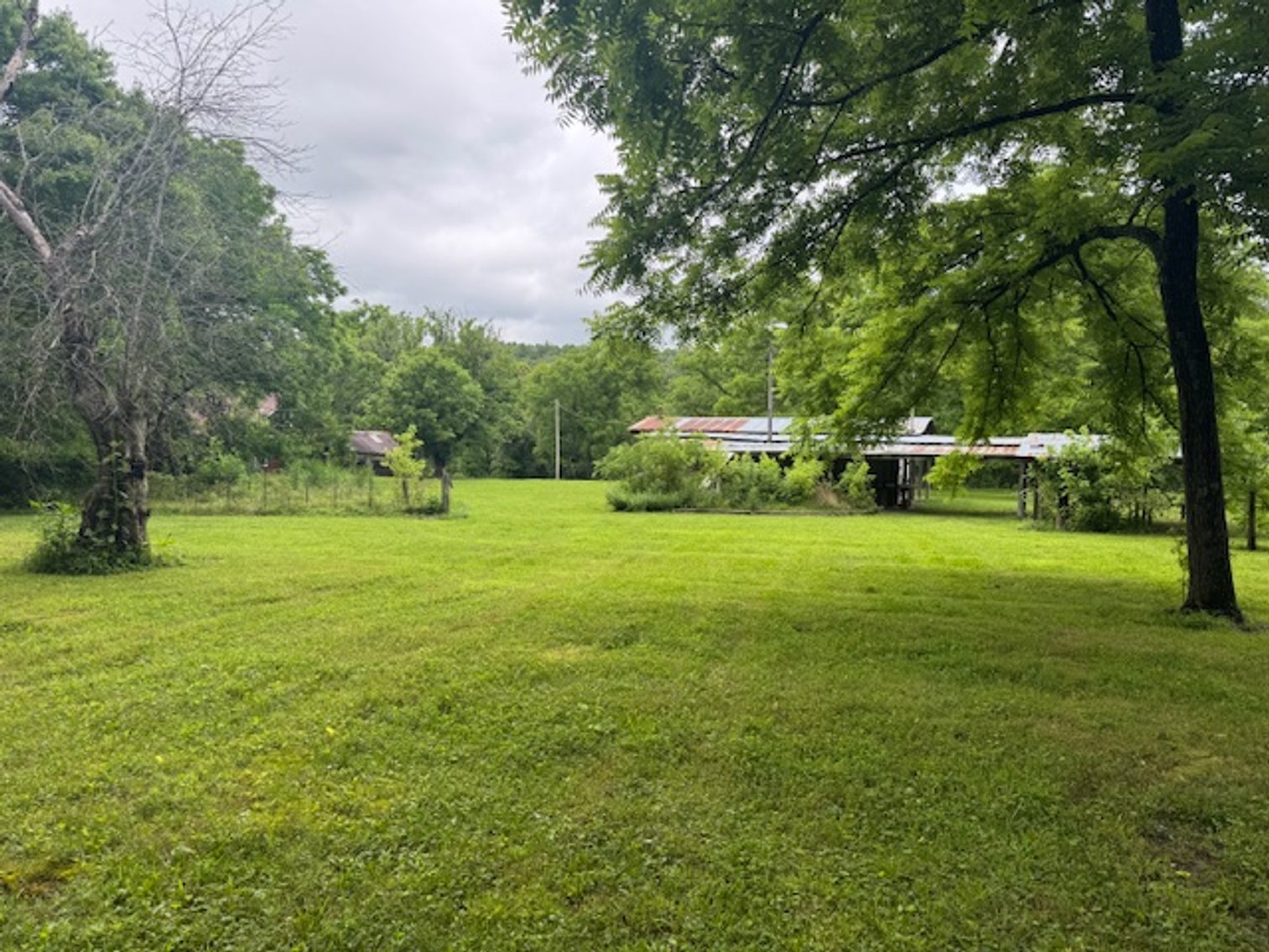 Image for Mill Creek -- Amazing Place, How Sweet the Sounds - 79 acres