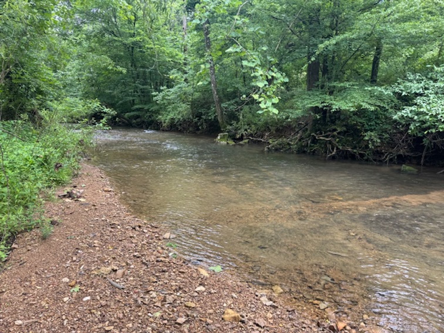 Image for Mill Creek -- Amazing Place, How Sweet the Sounds - 79 acres