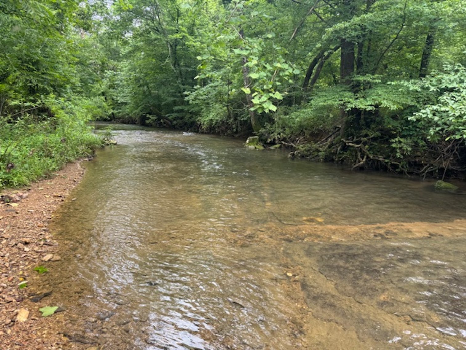 Image for Mill Creek -- Amazing Place, How Sweet the Sounds - 79 acres