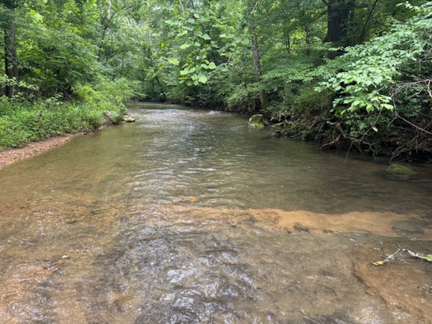 Image for Mill Creek -- Amazing Place, How Sweet the Sounds - 79 acres