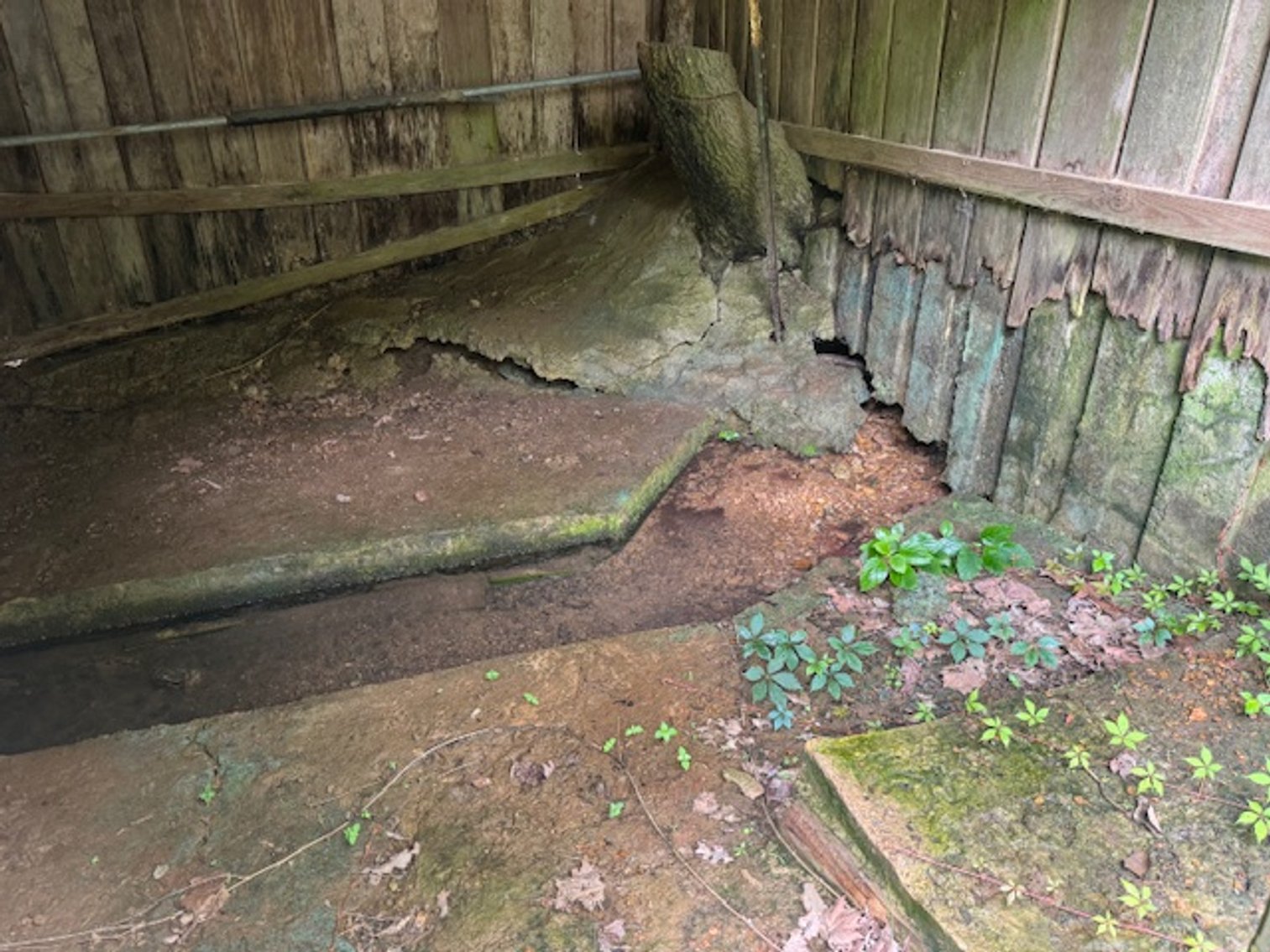 Image for Mill Creek -- Amazing Place, How Sweet the Sounds - 79 acres