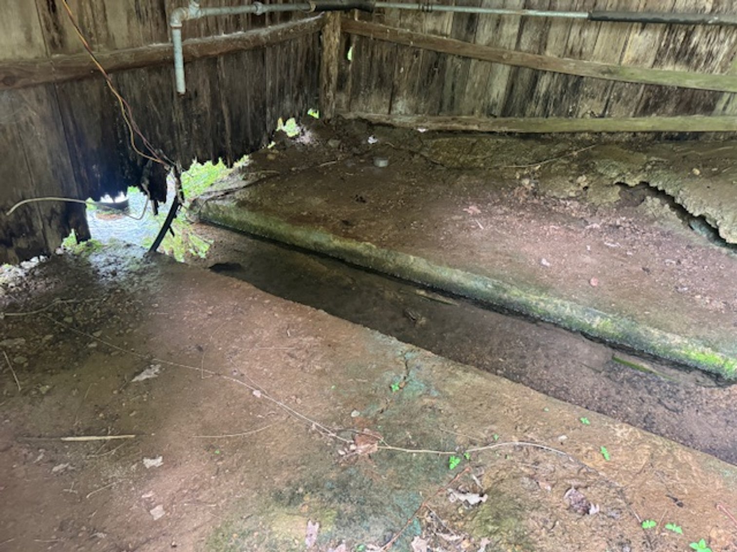 Image for Mill Creek -- Amazing Place, How Sweet the Sounds - 79 acres