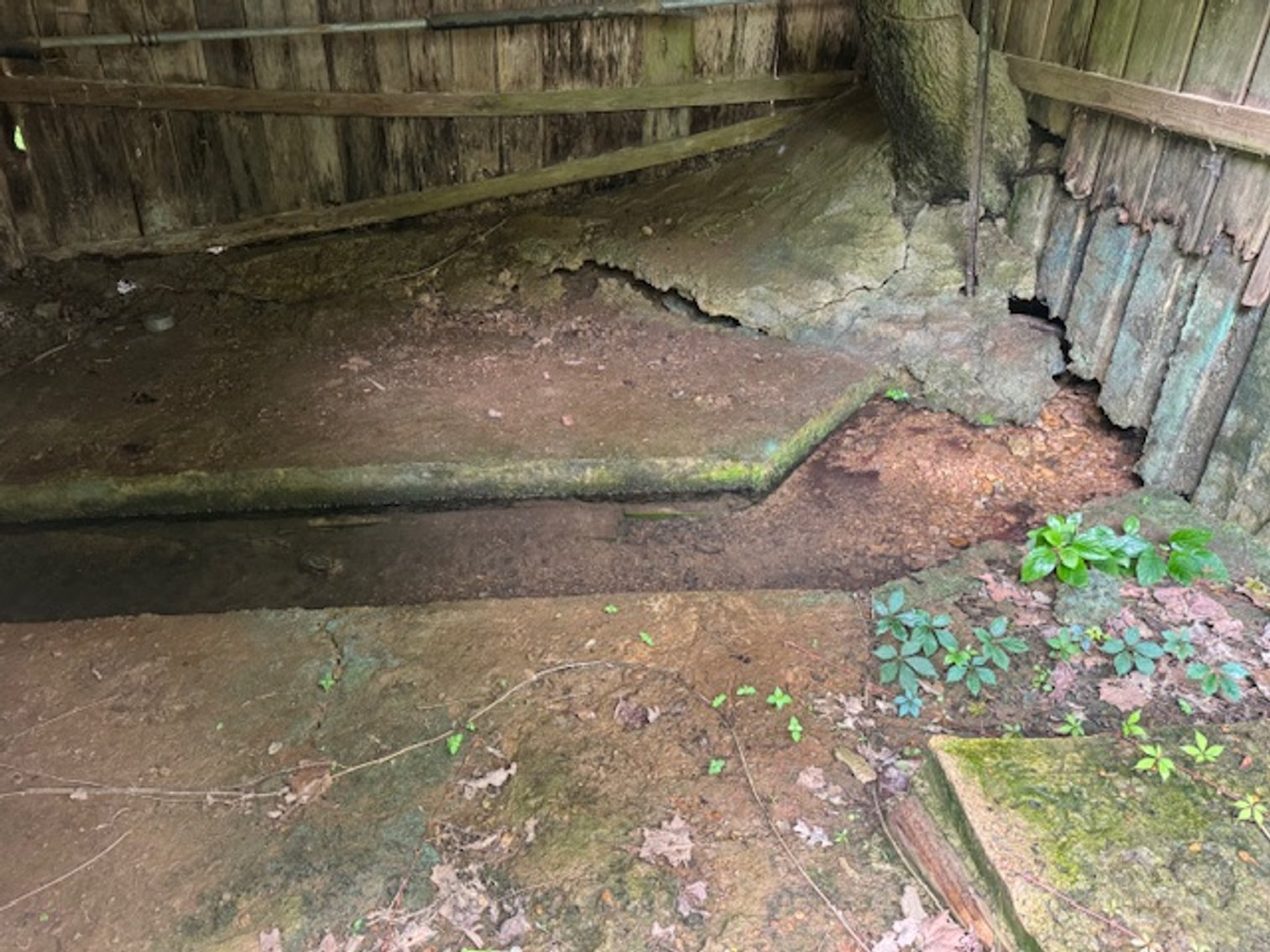 Image for Mill Creek -- Amazing Place, How Sweet the Sounds - 79 acres