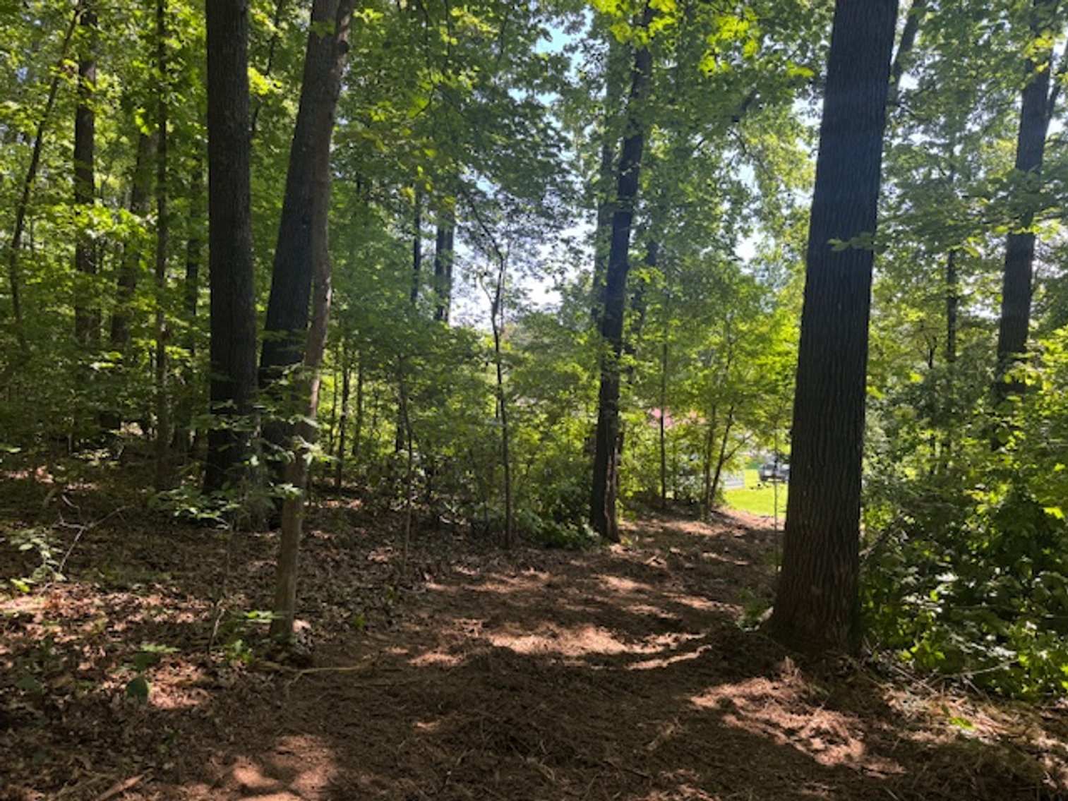 Image for Estate Auction - 3 Acres in Fairview - Attention Developers & Investors