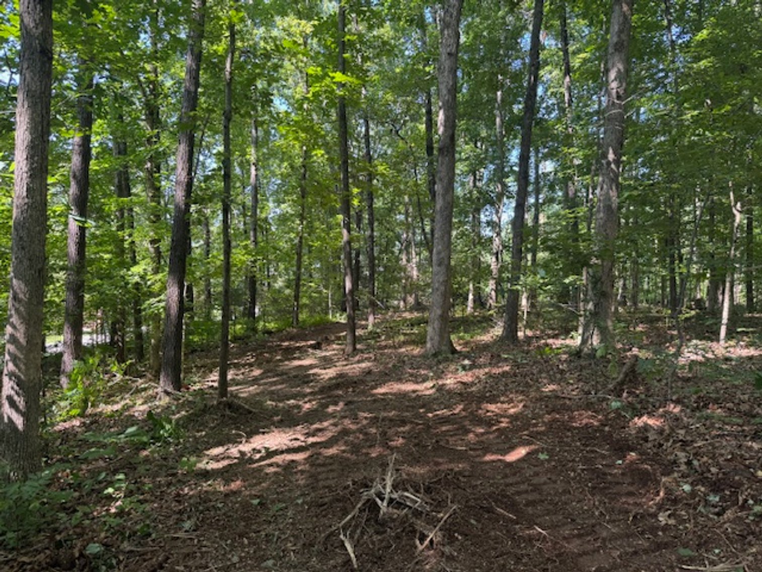 Image for Estate Auction - 3 Acres in Fairview - Attention Developers & Investors