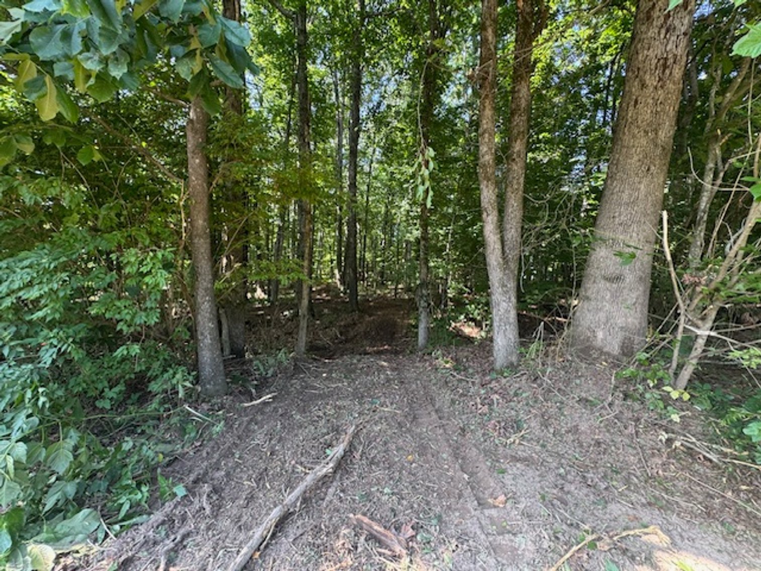 Image for Estate Auction - 3 Acres in Fairview - Attention Developers & Investors