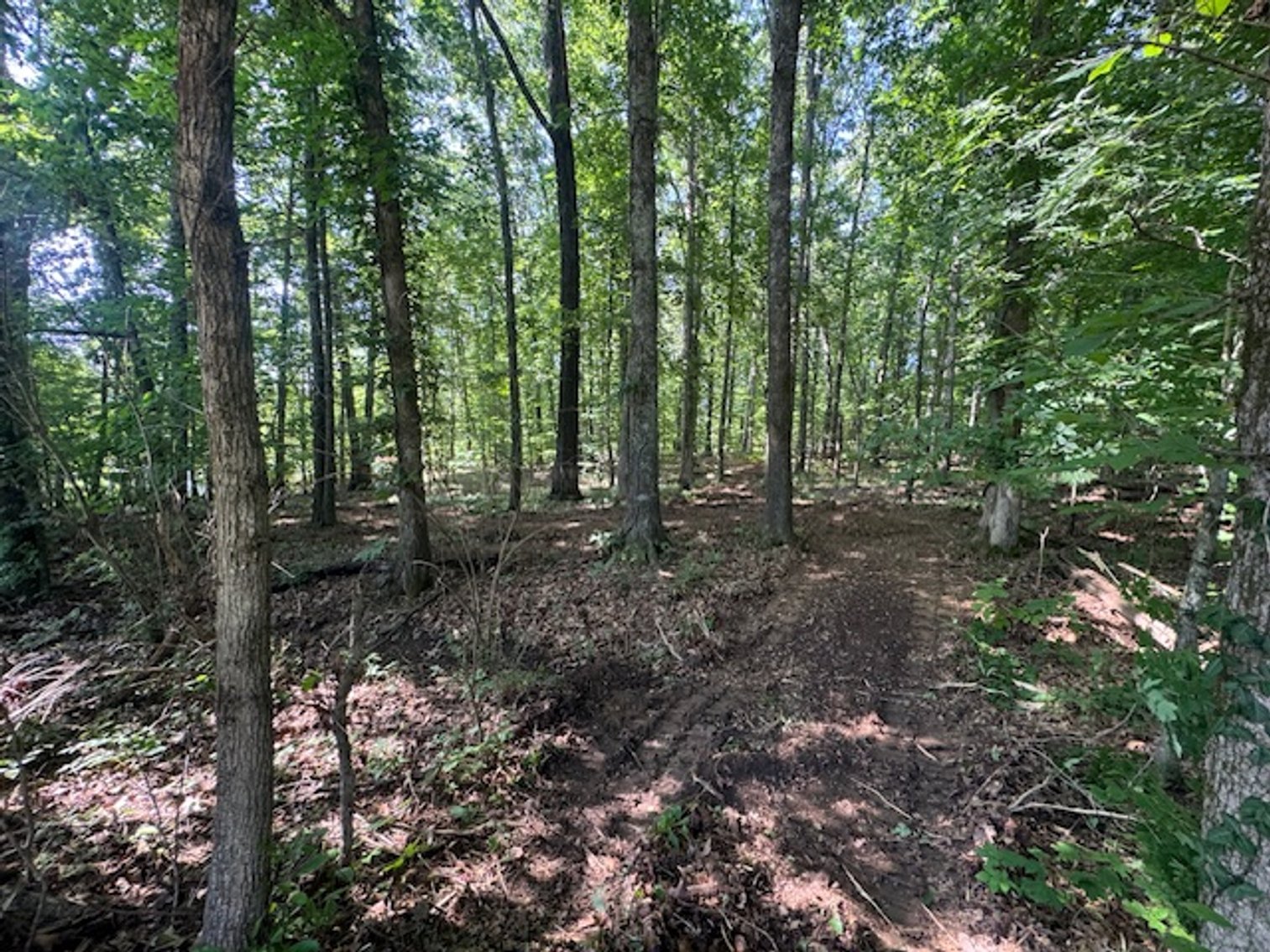 Image for Estate Auction - 3 Acres in Fairview - Attention Developers & Investors