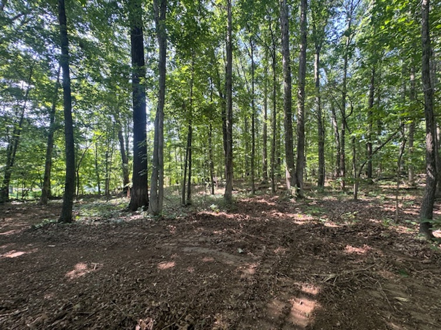 Image for Estate Auction - 3 Acres in Fairview - Attention Developers & Investors