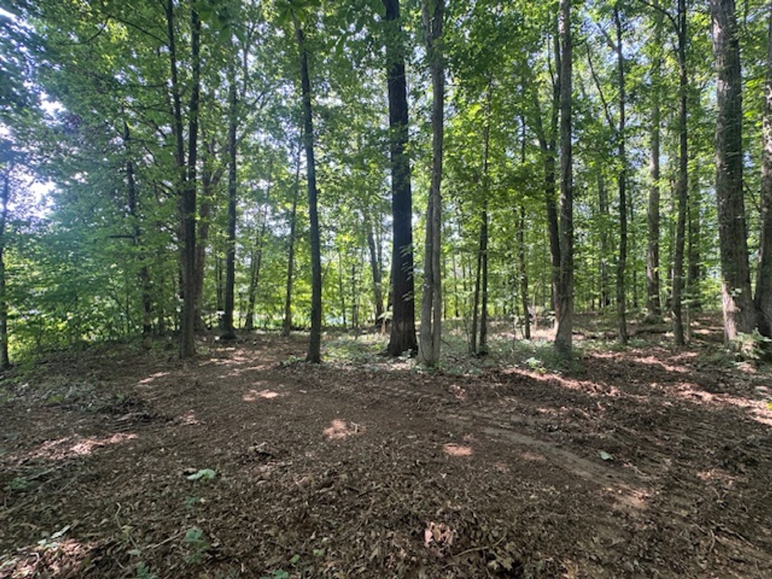 Image for Estate Auction - 3 Acres in Fairview - Attention Developers & Investors