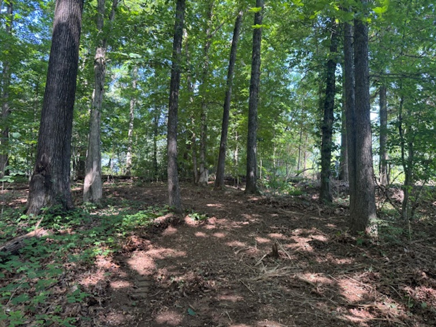 Image for Estate Auction - 3 Acres in Fairview - Attention Developers & Investors