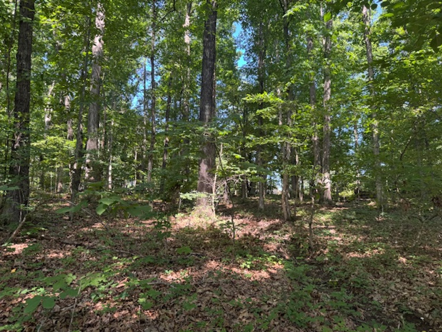 Image for Estate Auction - 3 Acres in Fairview - Attention Developers & Investors