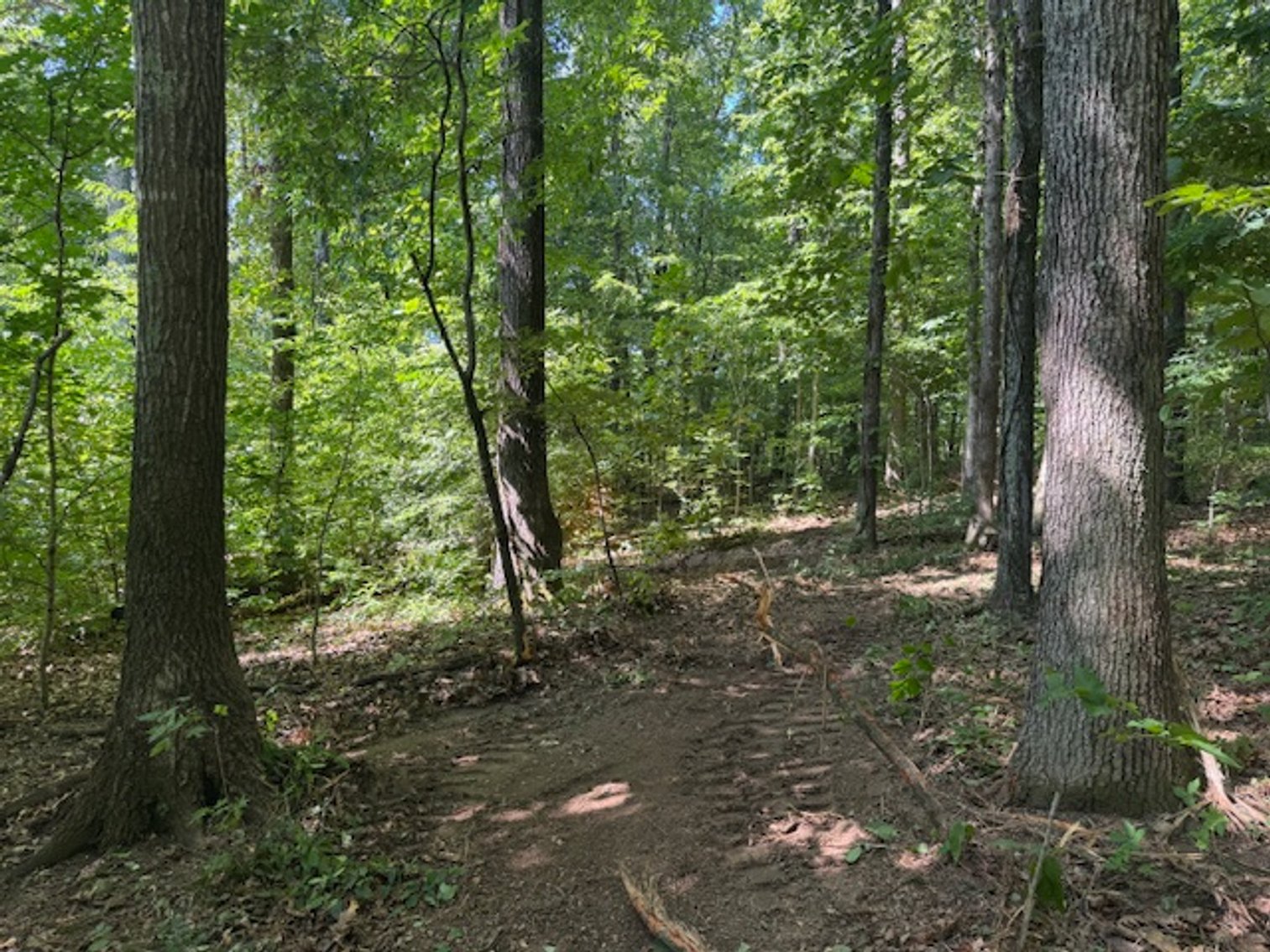 Image for Estate Auction - 3 Acres in Fairview - Attention Developers & Investors