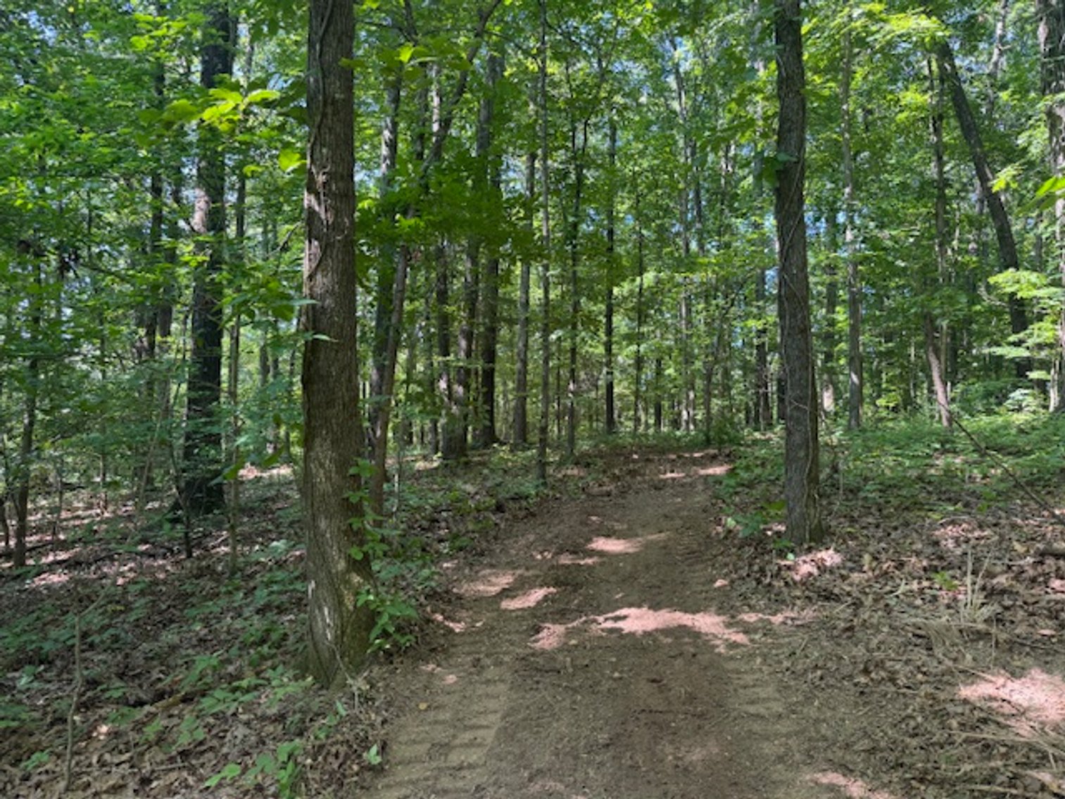 Image for Estate Auction - 3 Acres in Fairview - Attention Developers & Investors