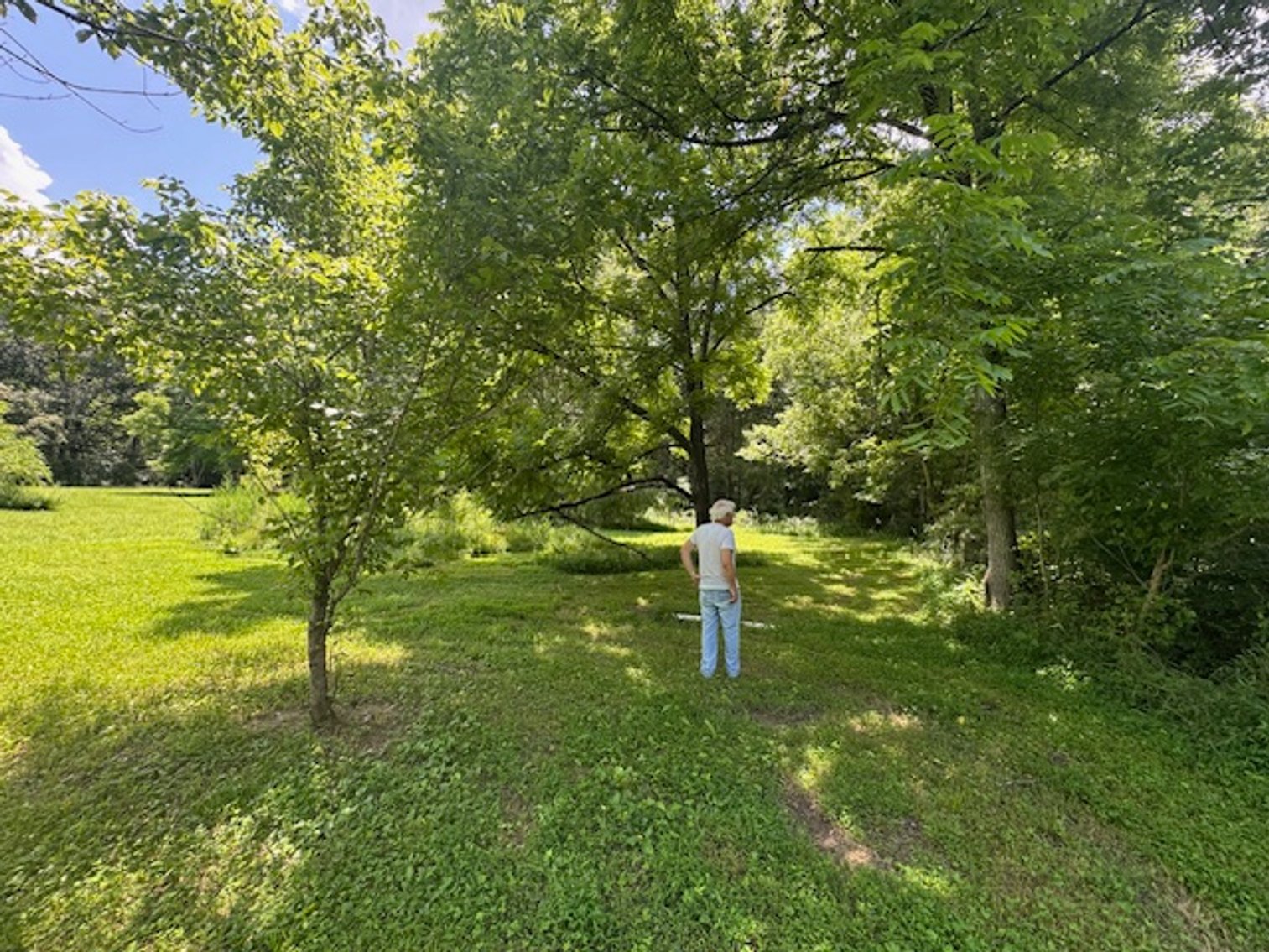 Image for Mill Creek -- Amazing Place, How Sweet the Sounds - 79 acres