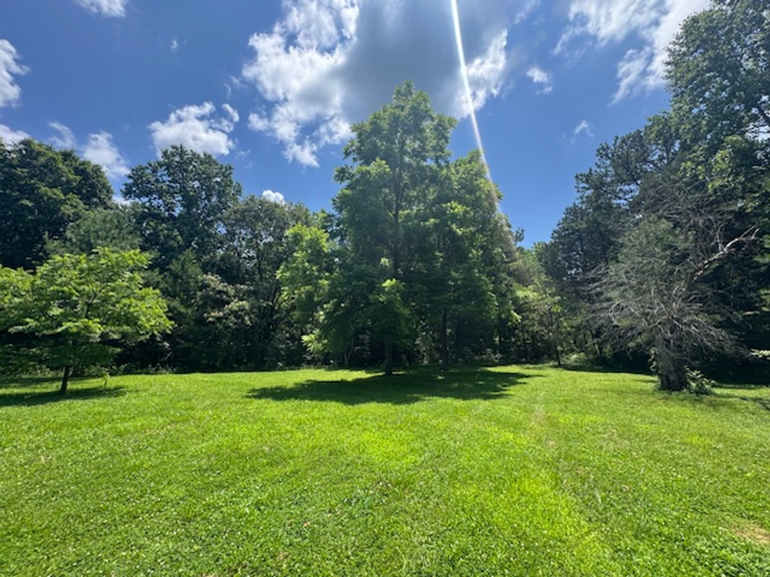 Image for Mill Creek -- Amazing Place, How Sweet the Sounds - 79 acres