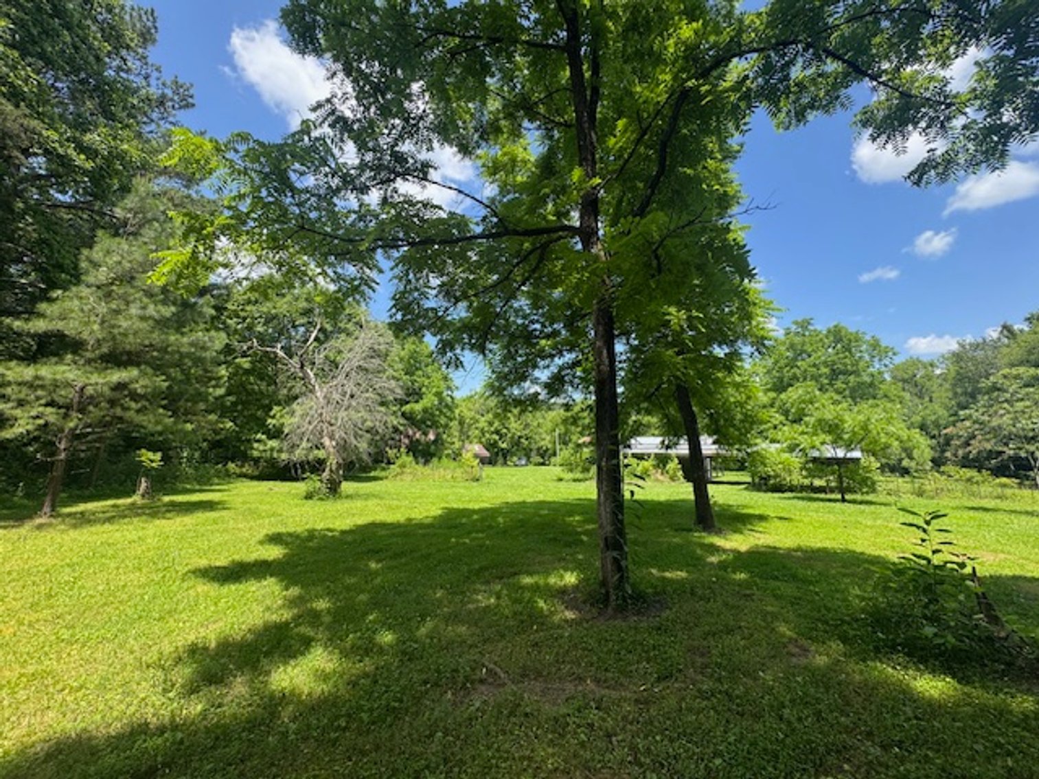 Image for Mill Creek -- Amazing Place, How Sweet the Sounds - 79 acres