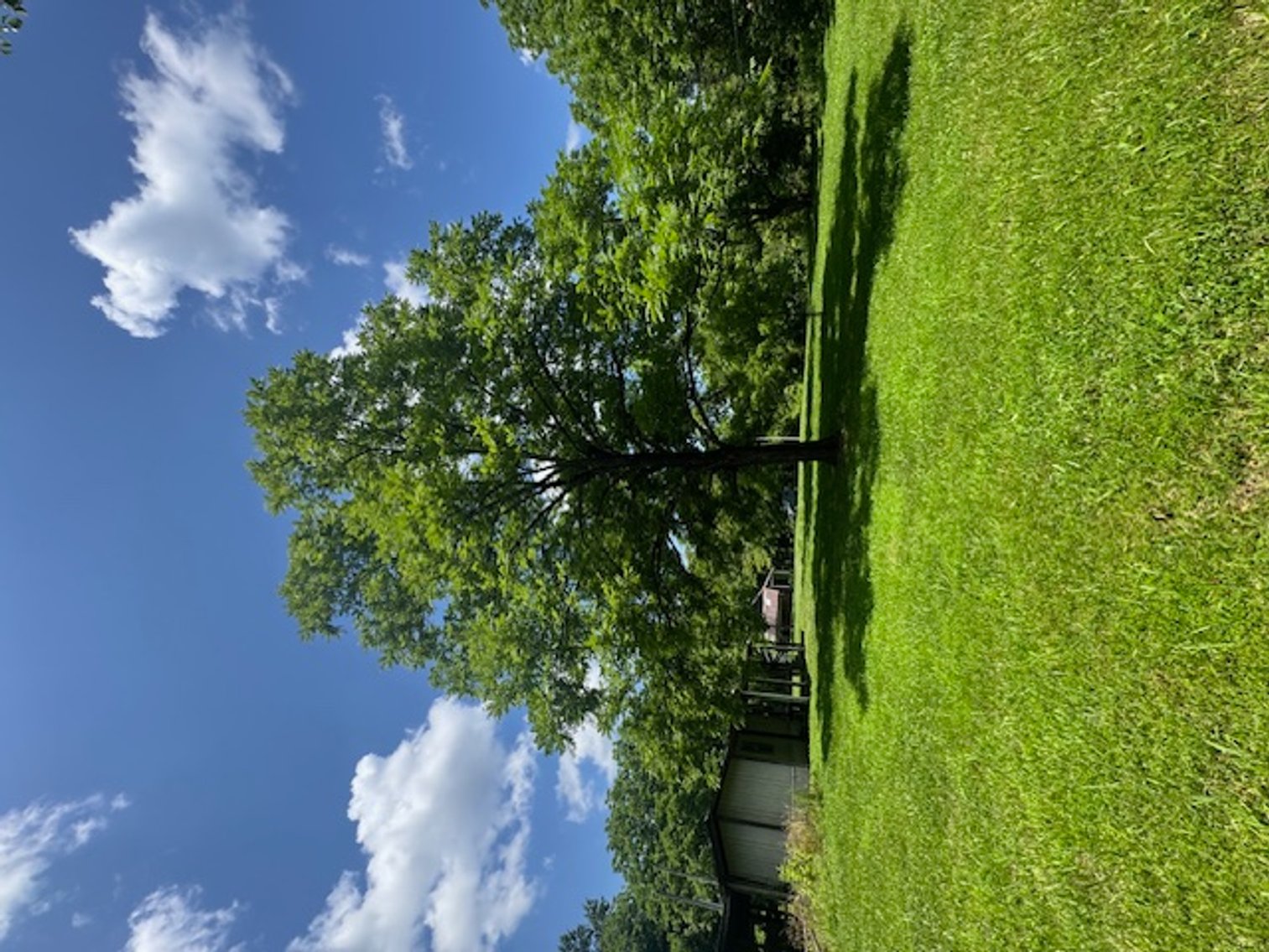 Image for Mill Creek -- Amazing Place, How Sweet the Sounds - 79 acres