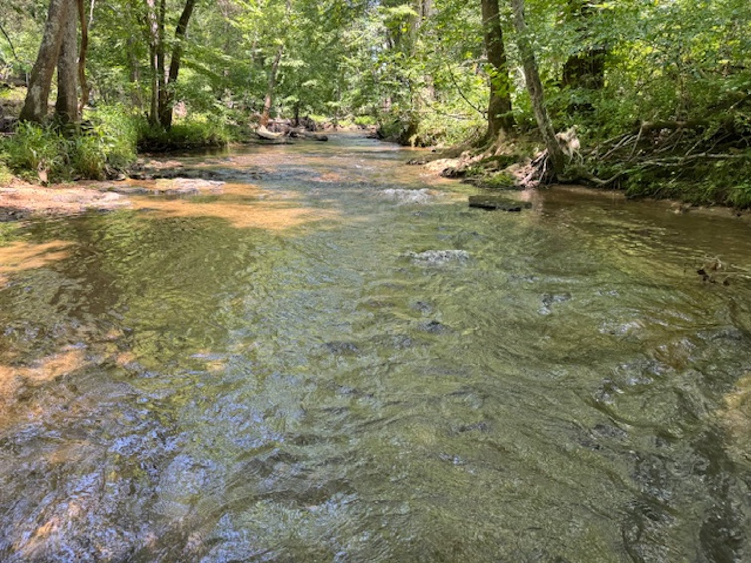 Image for Mill Creek -- Amazing Place, How Sweet the Sounds - 79 acres