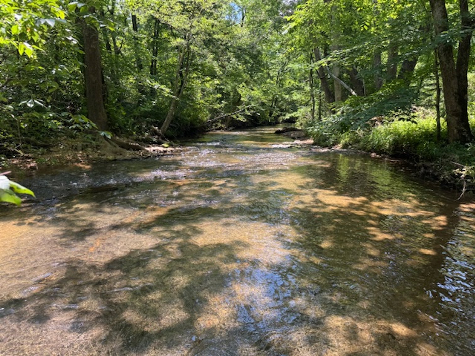 Image for Mill Creek -- Amazing Place, How Sweet the Sounds - 79 acres