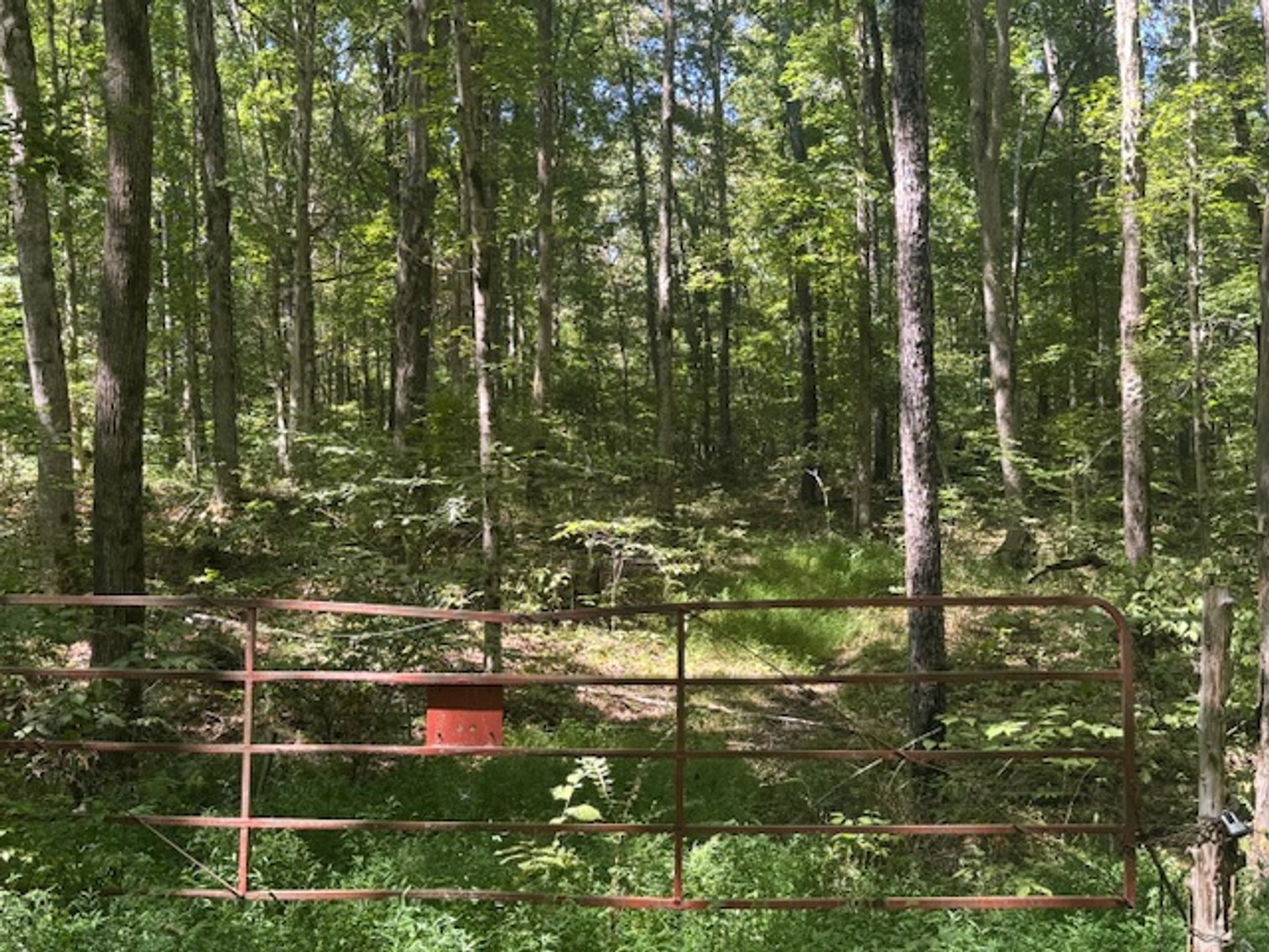 Image for 65 acres on Barren Fork Creek - Bon Aqua, TN