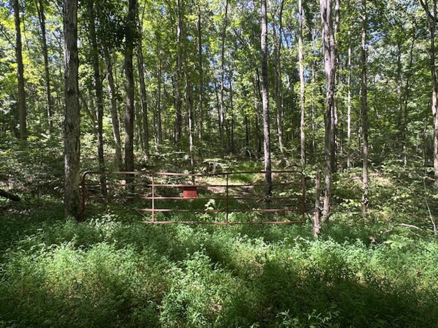 Image for 65 acres on Barren Fork Creek - Bon Aqua, TN