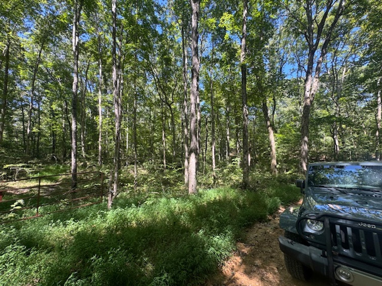 Image for 65 acres on Barren Fork Creek - Bon Aqua, TN