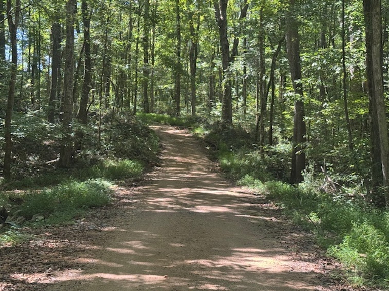 Image for 65 acres on Barren Fork Creek - Bon Aqua, TN