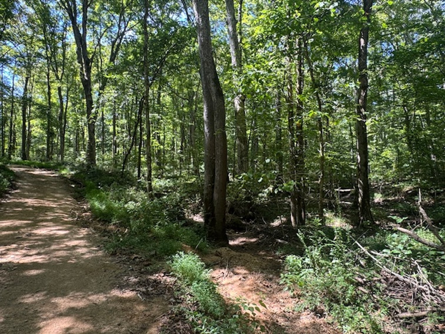 Image for 65 acres on Barren Fork Creek - Bon Aqua, TN