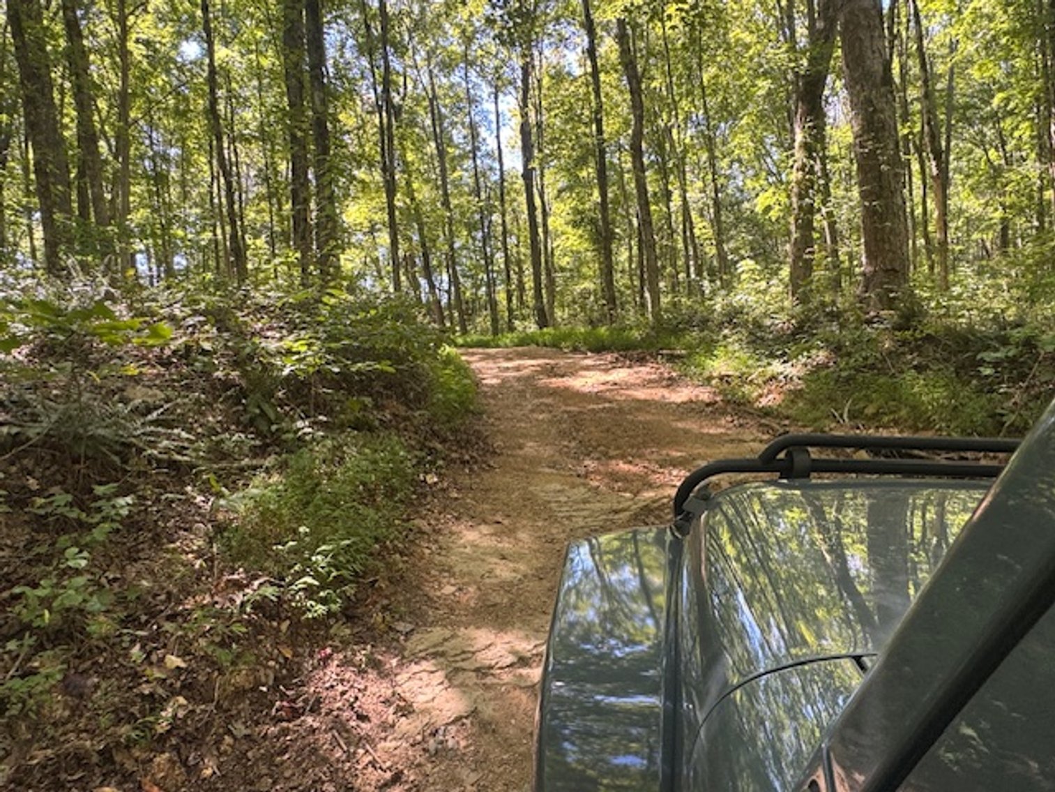 Image for 65 acres on Barren Fork Creek - Bon Aqua, TN