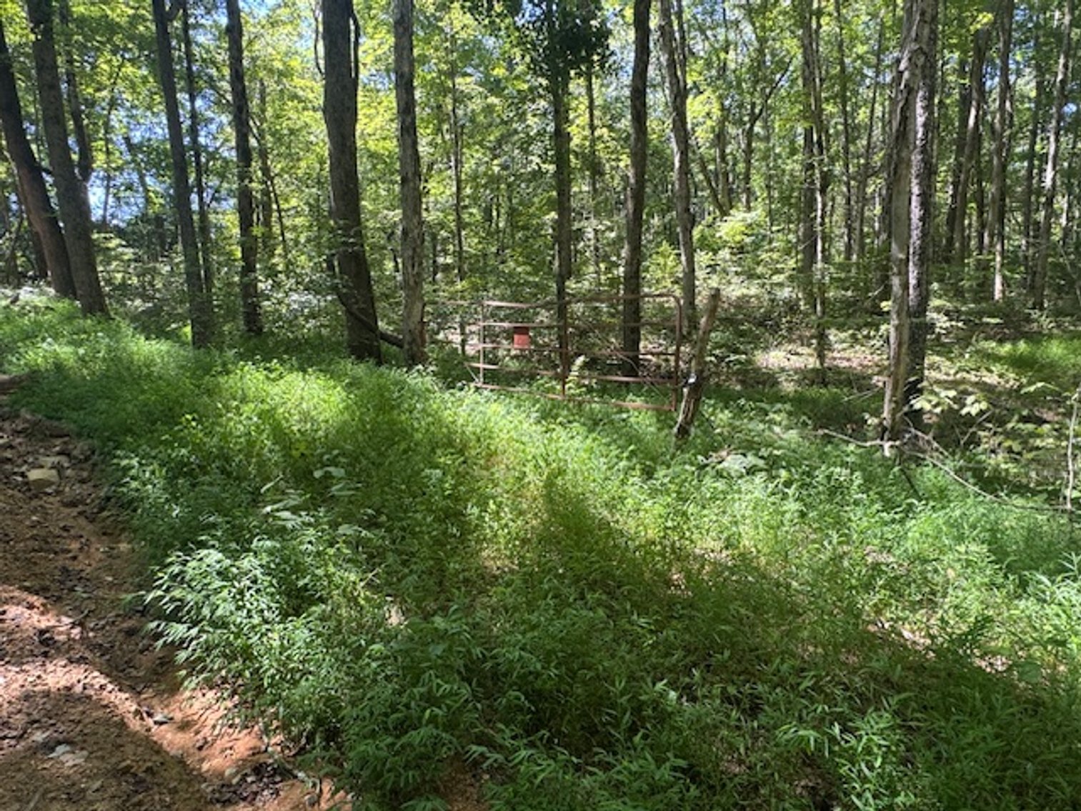 Image for 65 acres on Barren Fork Creek - Bon Aqua, TN