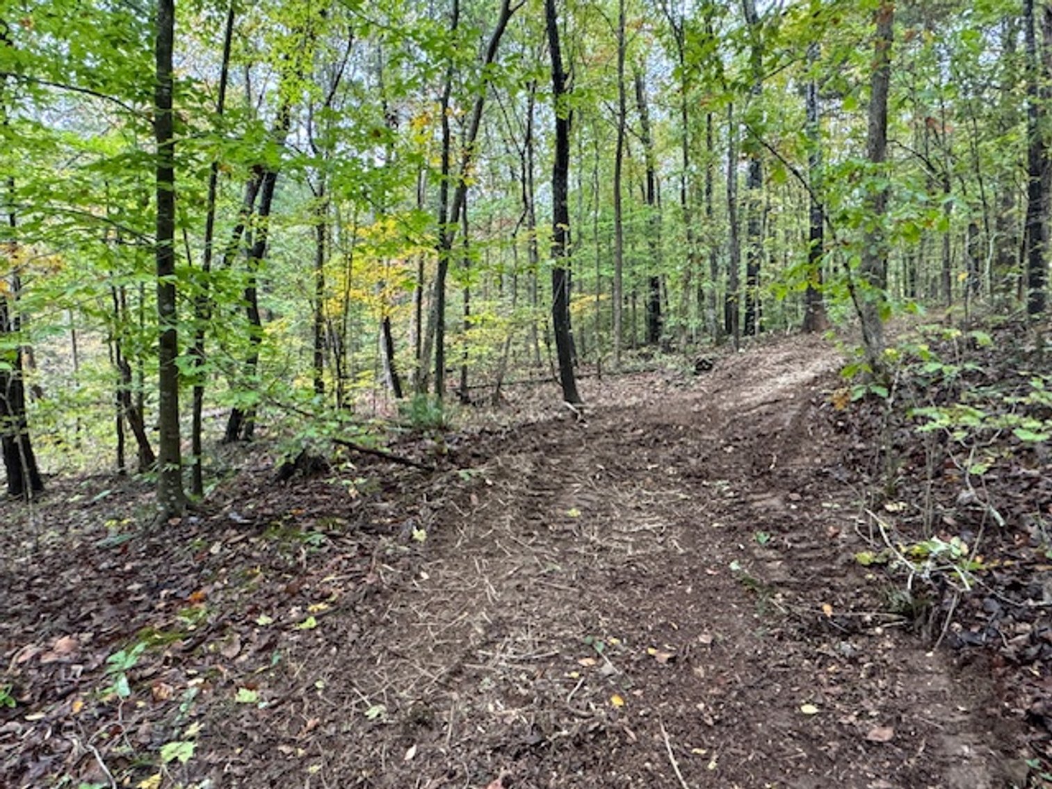 Image for 65 acres on Barren Fork Creek - Bon Aqua, TN