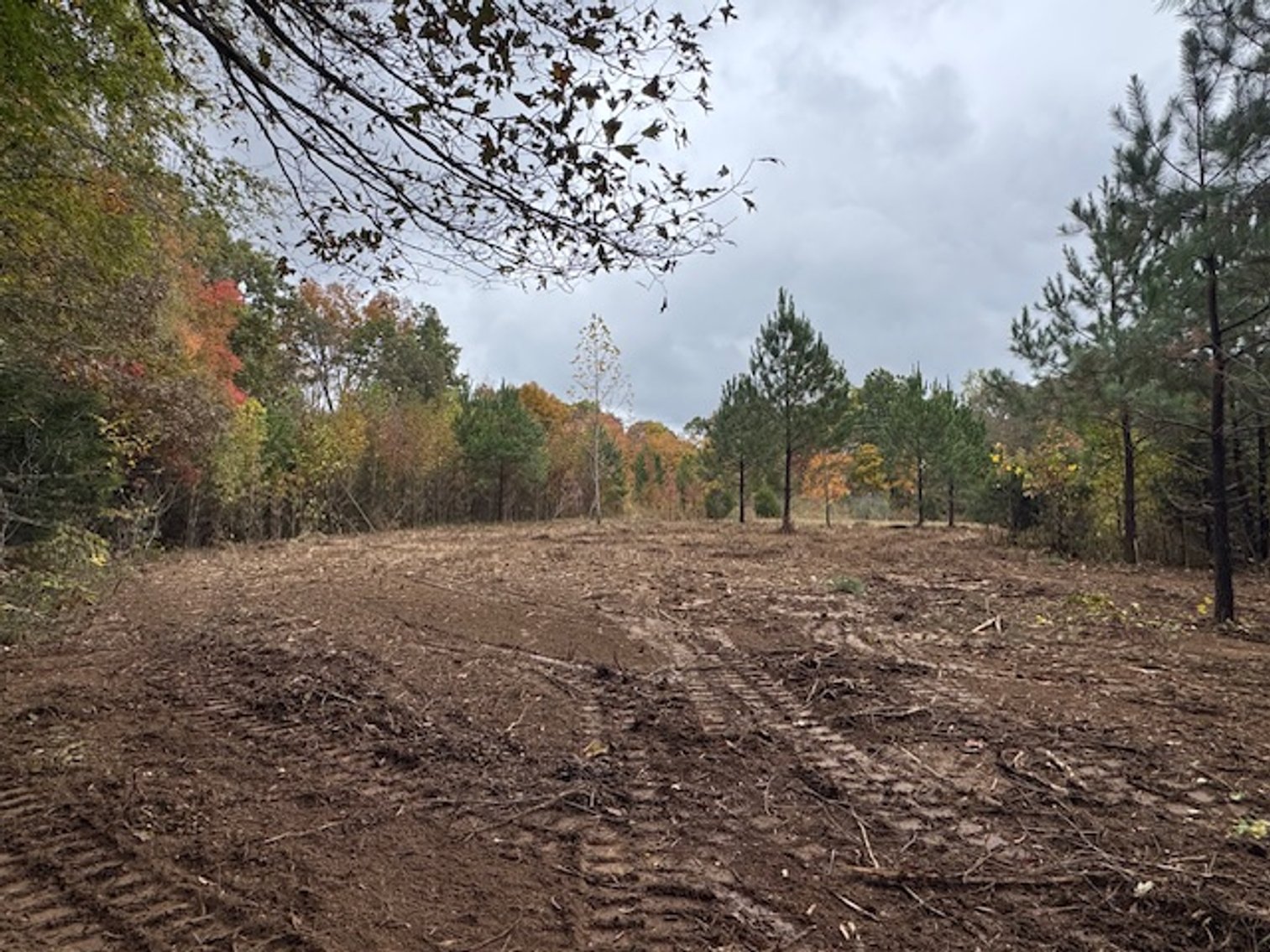 Image for 65 acres on Barren Fork Creek - Bon Aqua, TN