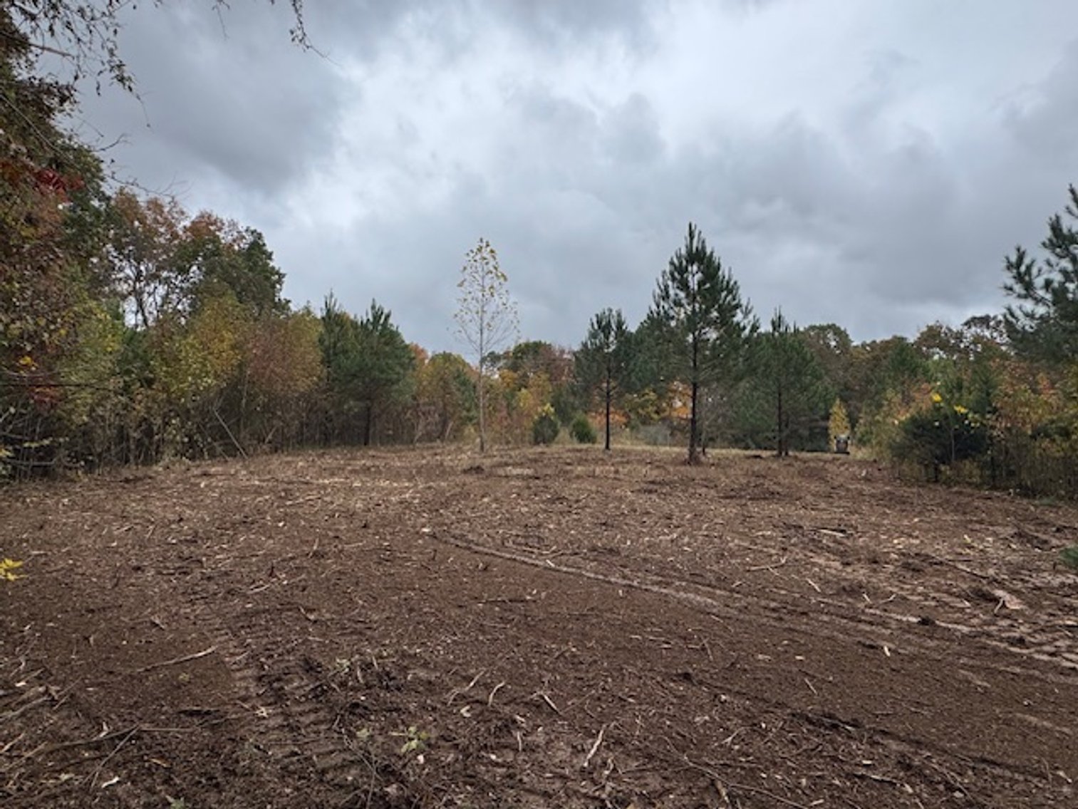 Image for 65 acres on Barren Fork Creek - Bon Aqua, TN