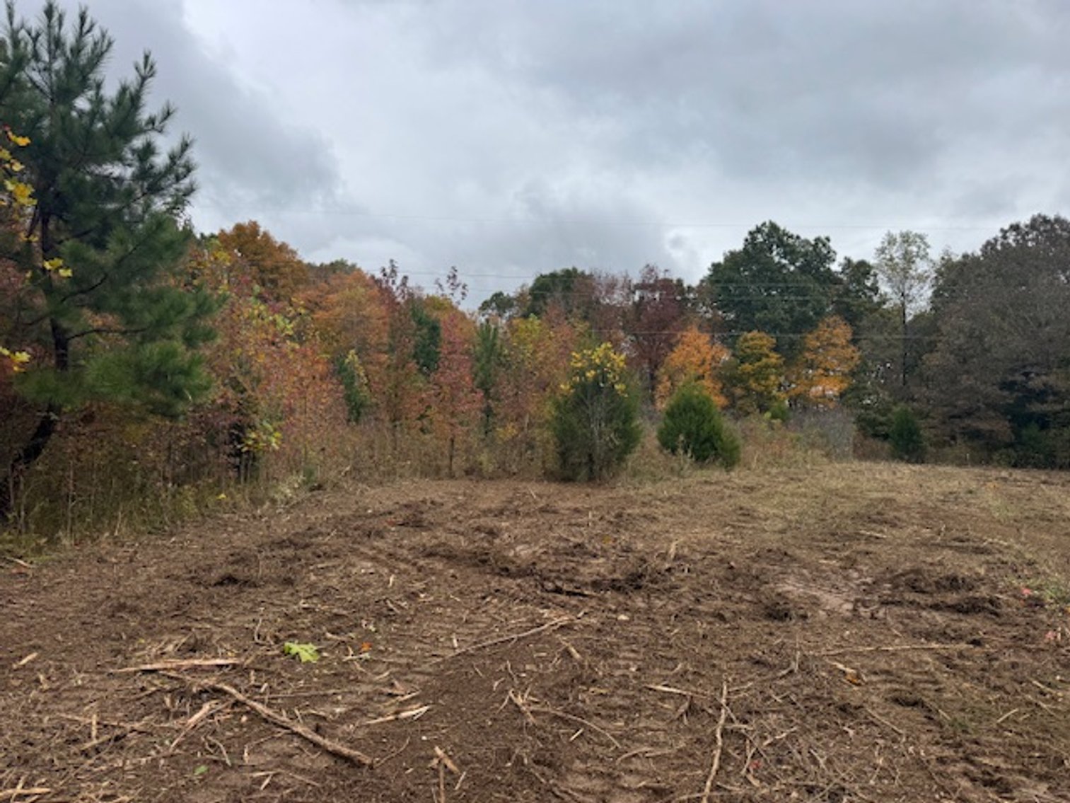 Image for 65 acres on Barren Fork Creek - Bon Aqua, TN