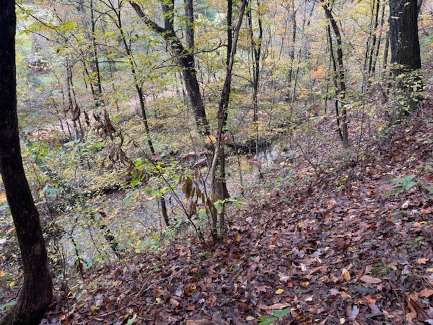 Image for 65 acres on Barren Fork Creek - Bon Aqua, TN