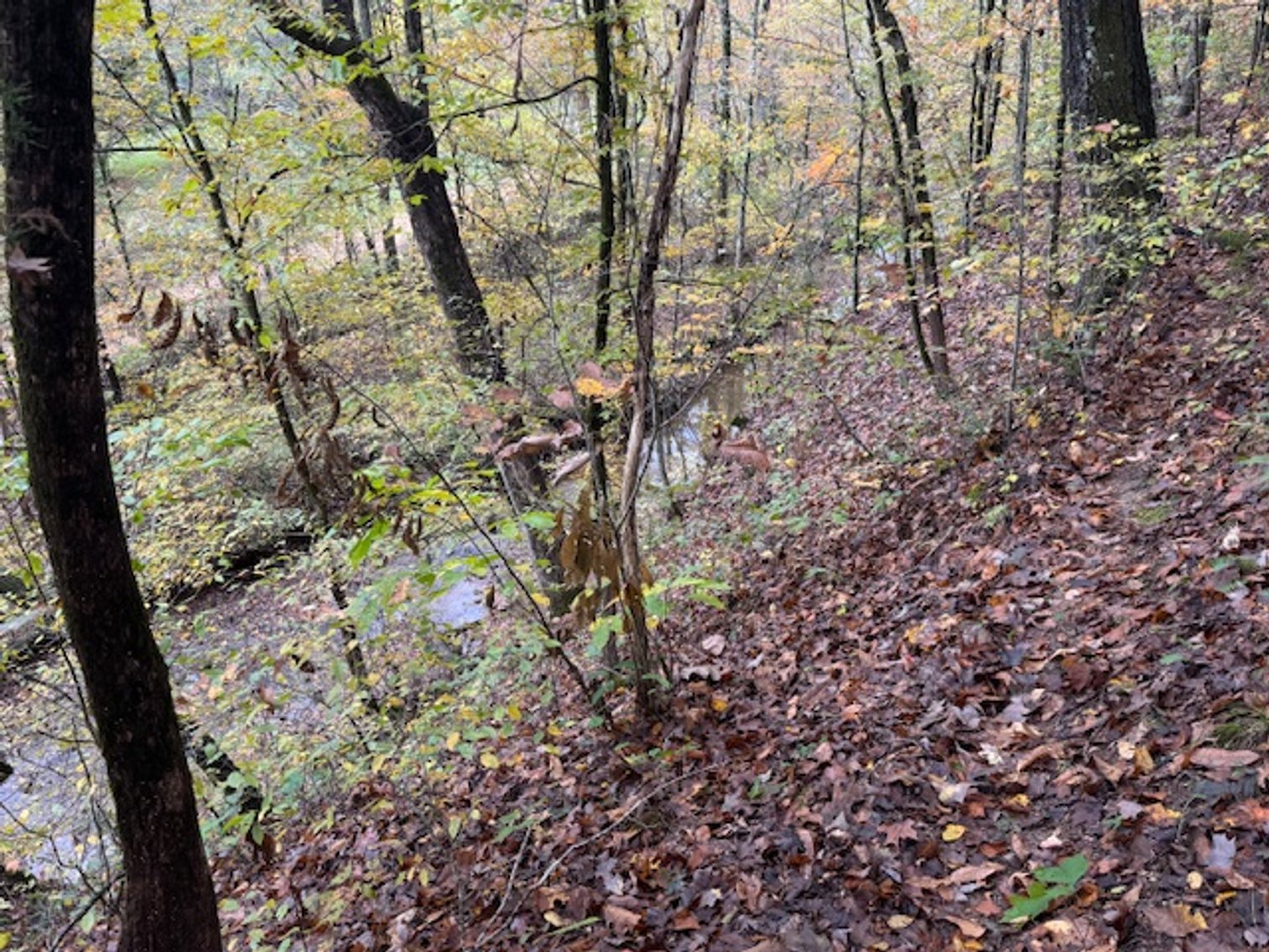 Image for 65 acres on Barren Fork Creek - Bon Aqua, TN