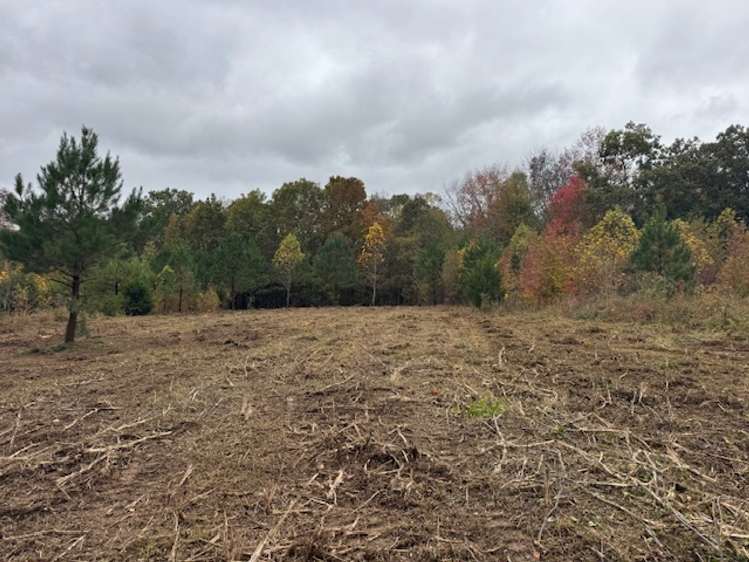 Image for 65 acres on Barren Fork Creek - Bon Aqua, TN