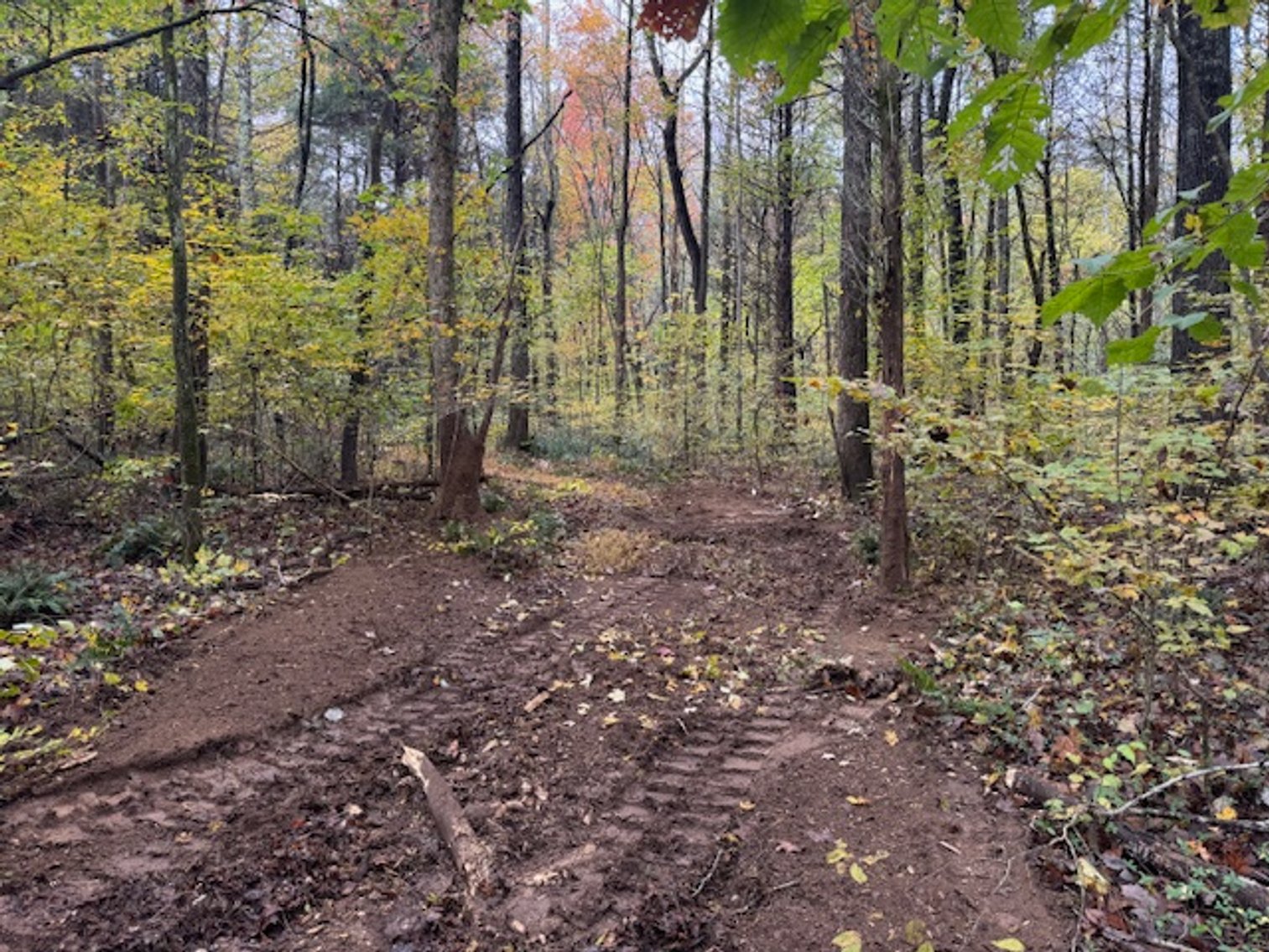 Image for 65 acres on Barren Fork Creek - Bon Aqua, TN