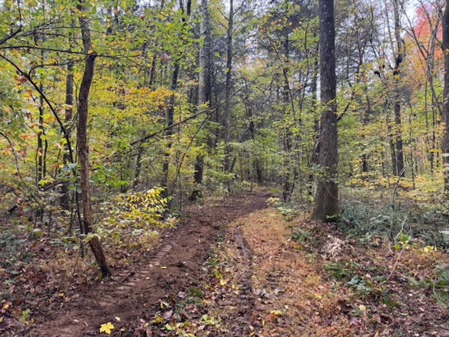 Image for 65 acres on Barren Fork Creek - Bon Aqua, TN