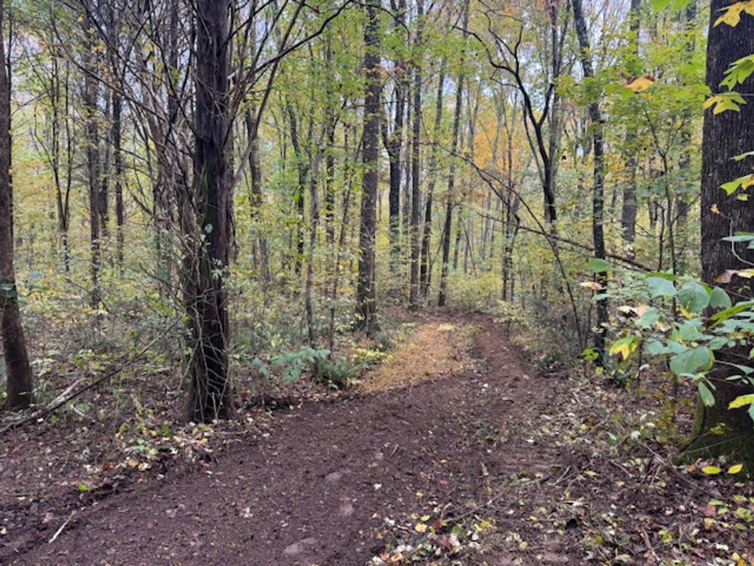 Image for 65 acres on Barren Fork Creek - Bon Aqua, TN