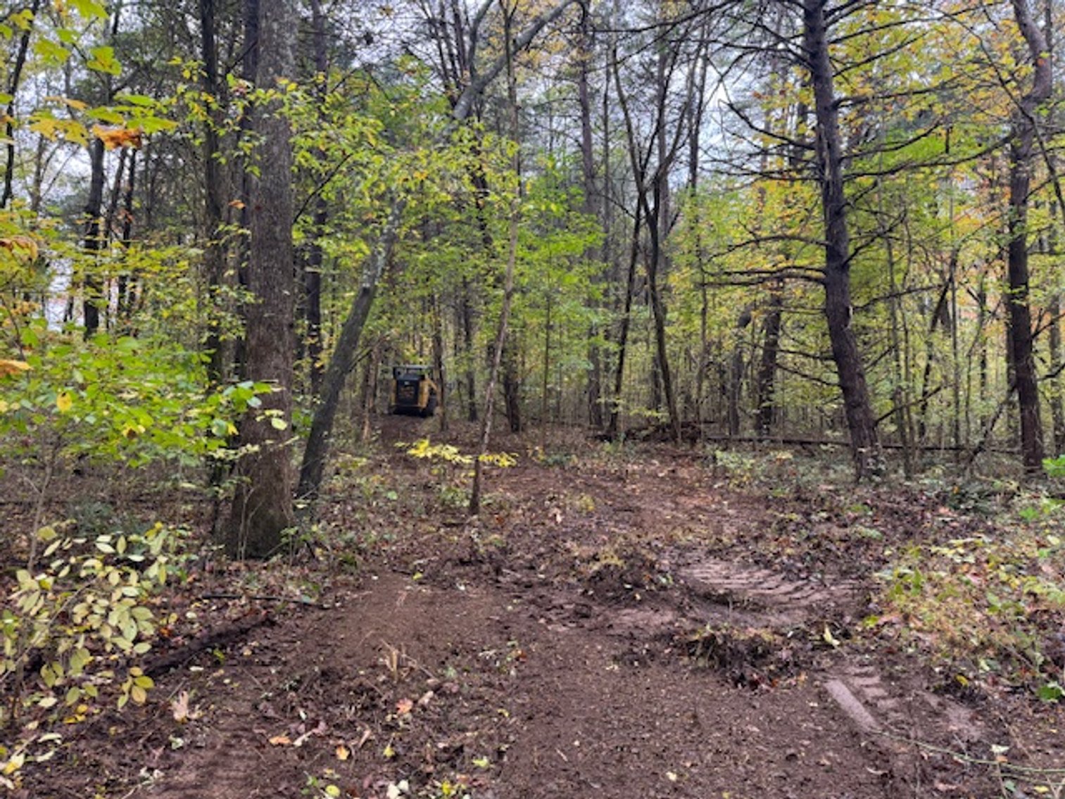 Image for 65 acres on Barren Fork Creek - Bon Aqua, TN