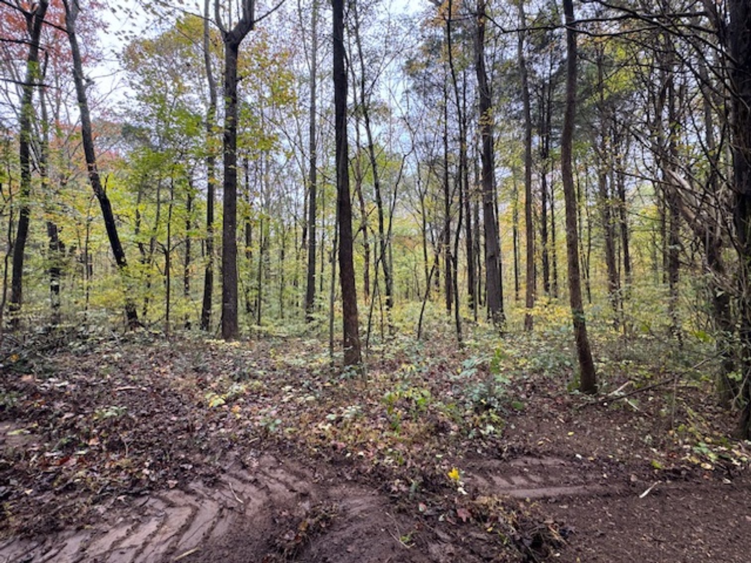 Image for 65 acres on Barren Fork Creek - Bon Aqua, TN