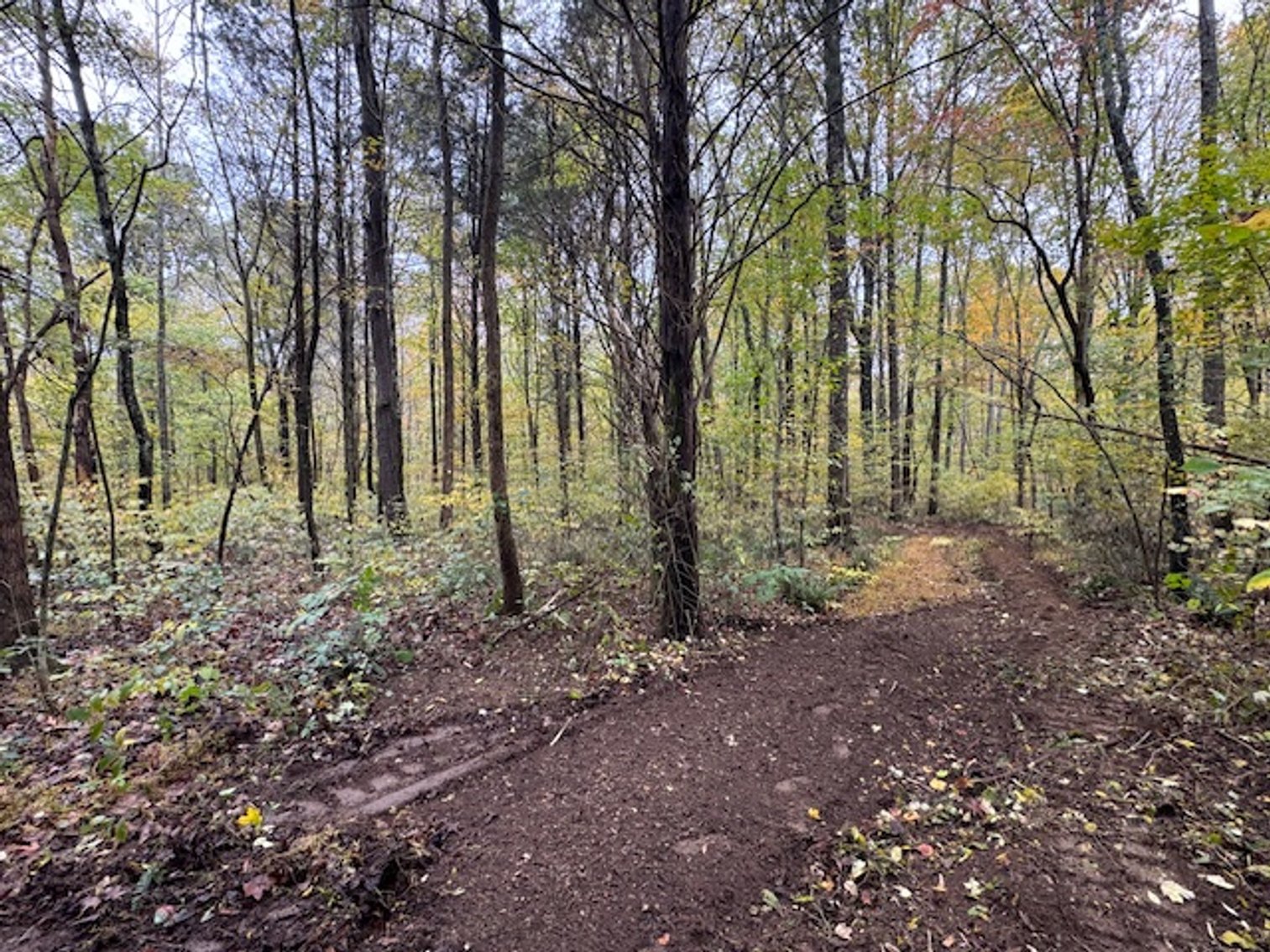 Image for 65 acres on Barren Fork Creek - Bon Aqua, TN