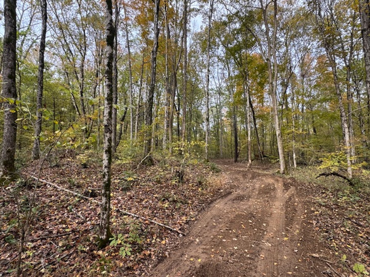 Image for 65 acres on Barren Fork Creek - Bon Aqua, TN