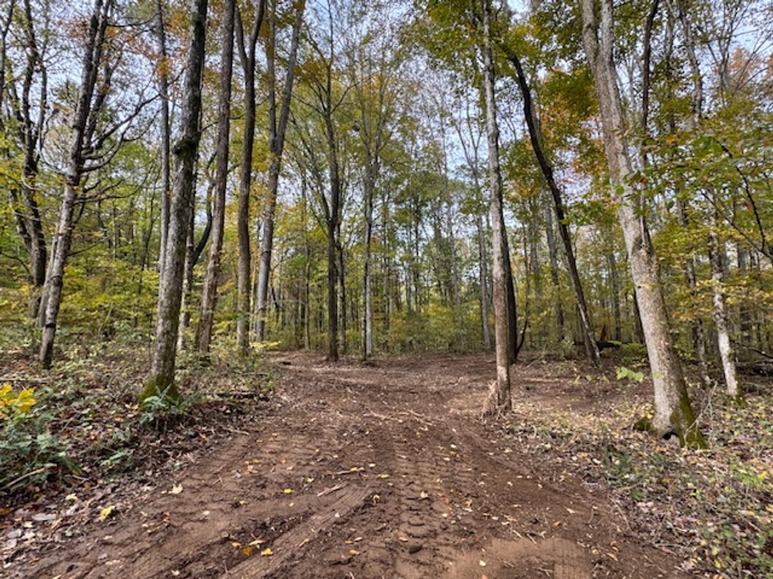 Image for 65 acres on Barren Fork Creek - Bon Aqua, TN