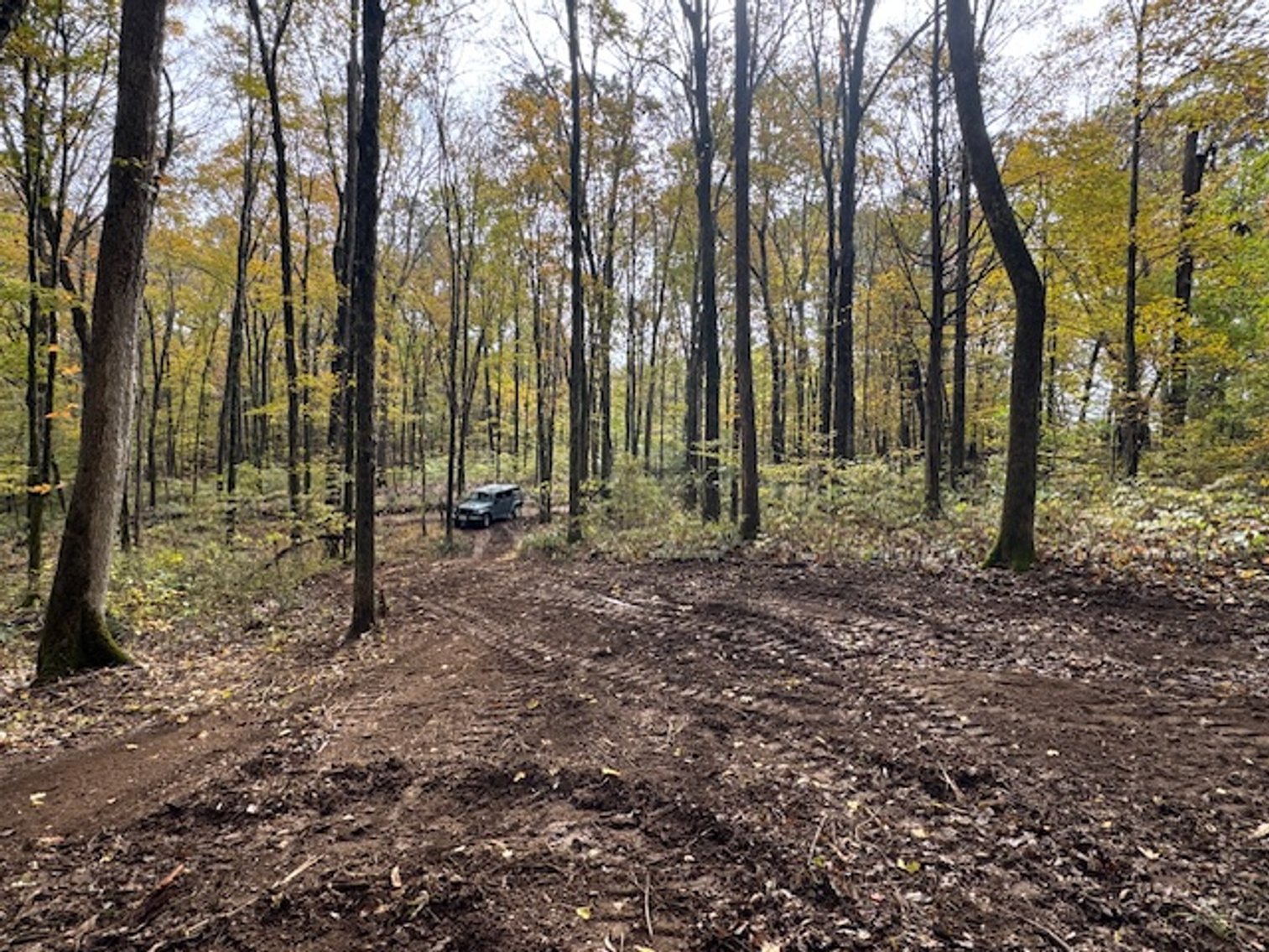 Image for 65 acres on Barren Fork Creek - Bon Aqua, TN