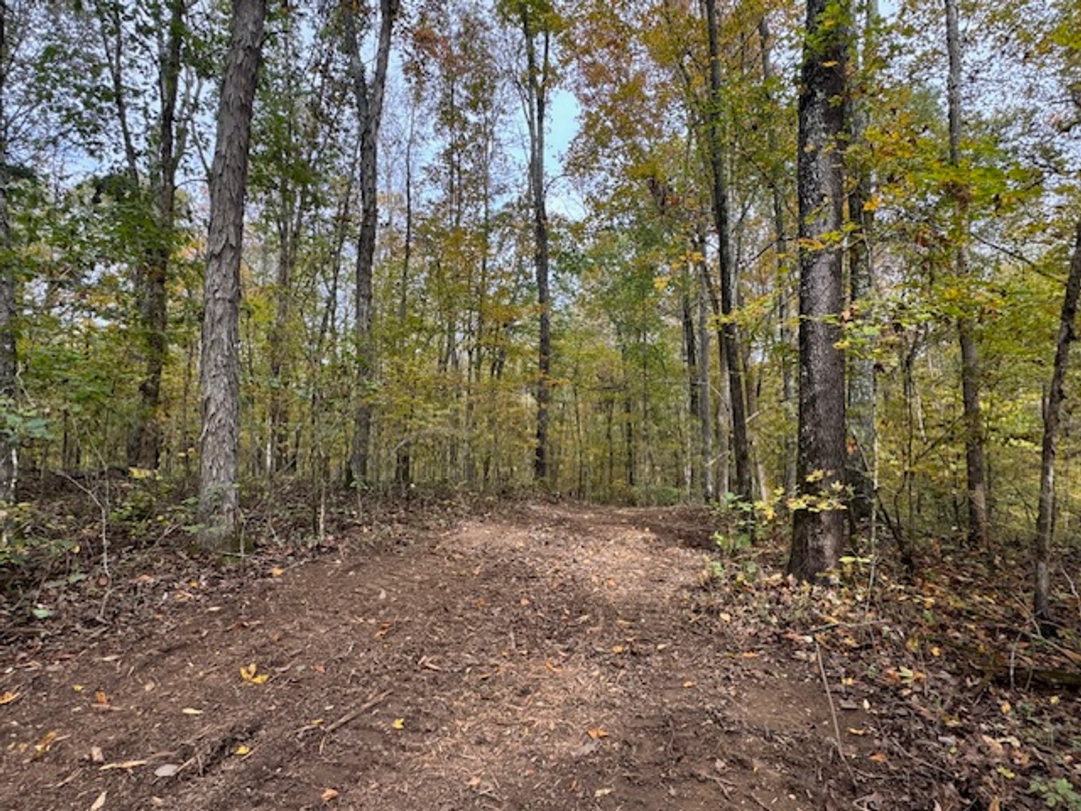 Image for 65 acres on Barren Fork Creek - Bon Aqua, TN