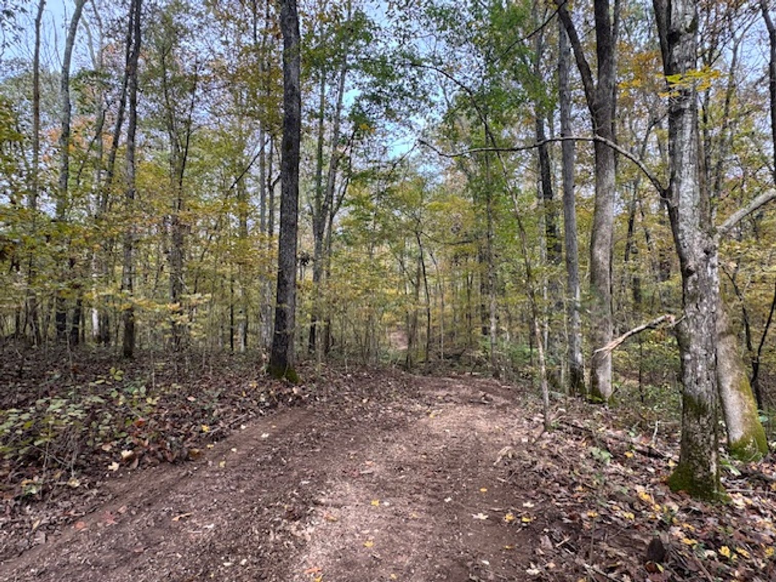 Image for 65 acres on Barren Fork Creek - Bon Aqua, TN