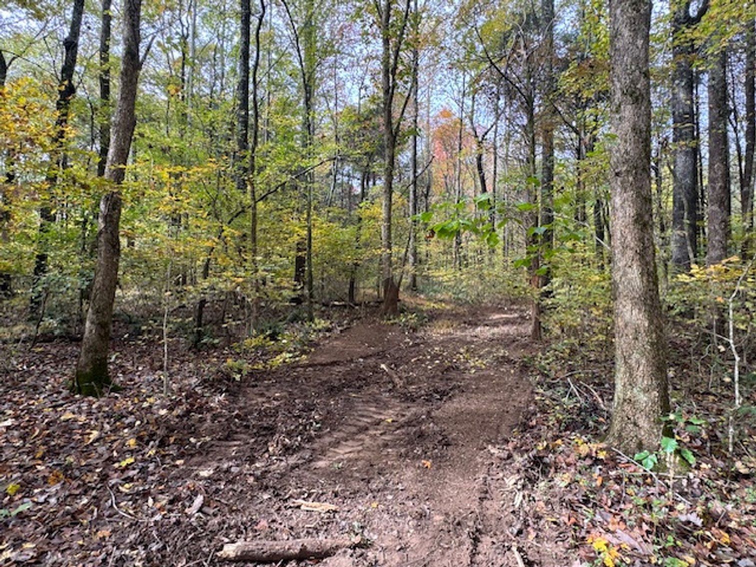 Image for 65 acres on Barren Fork Creek - Bon Aqua, TN