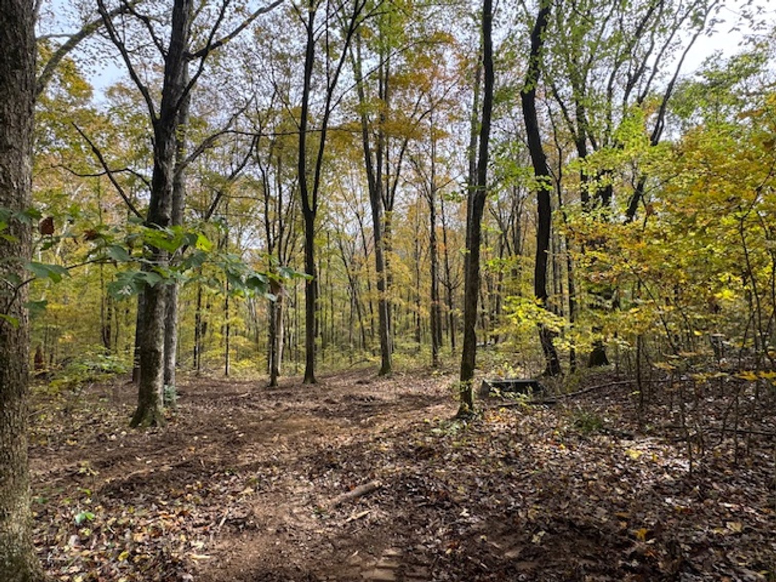 Image for 65 acres on Barren Fork Creek - Bon Aqua, TN